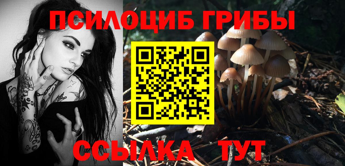 Галлюциногенные грибы Magic Shrooms Кузнецк