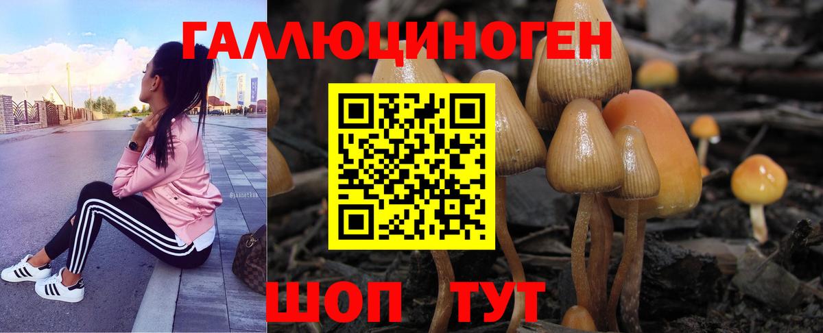 хочу наркоту  Галлюциногенные грибы MAGIC MUSHROOMS  Вход с VPN  Псилоцибиновые грибы Psilocybe  Кузнецк 